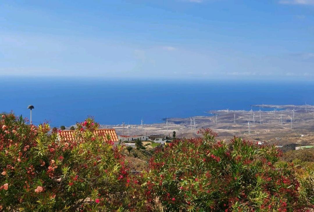 Casa Isabel - Villa Fasnia Dış mekan fotoğraf